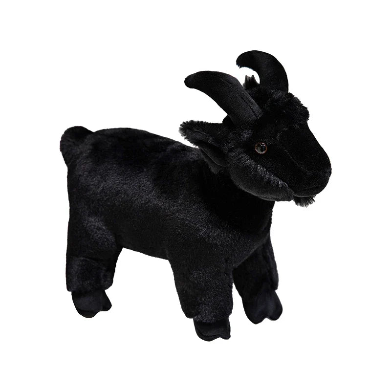 Baby Goat