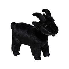 Baby Goat