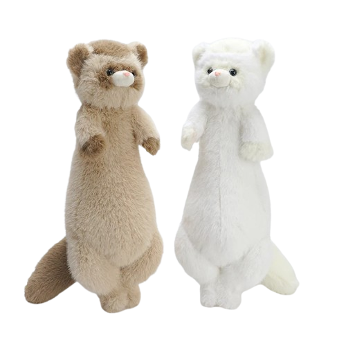 Ferret