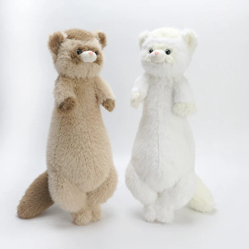 Ferret