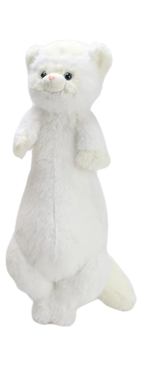 Ferret