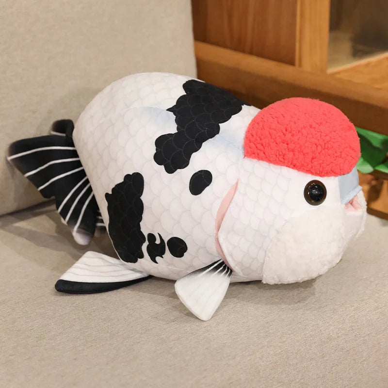 Ranchu Goldfish