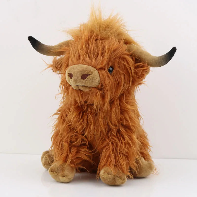 Highland Cow