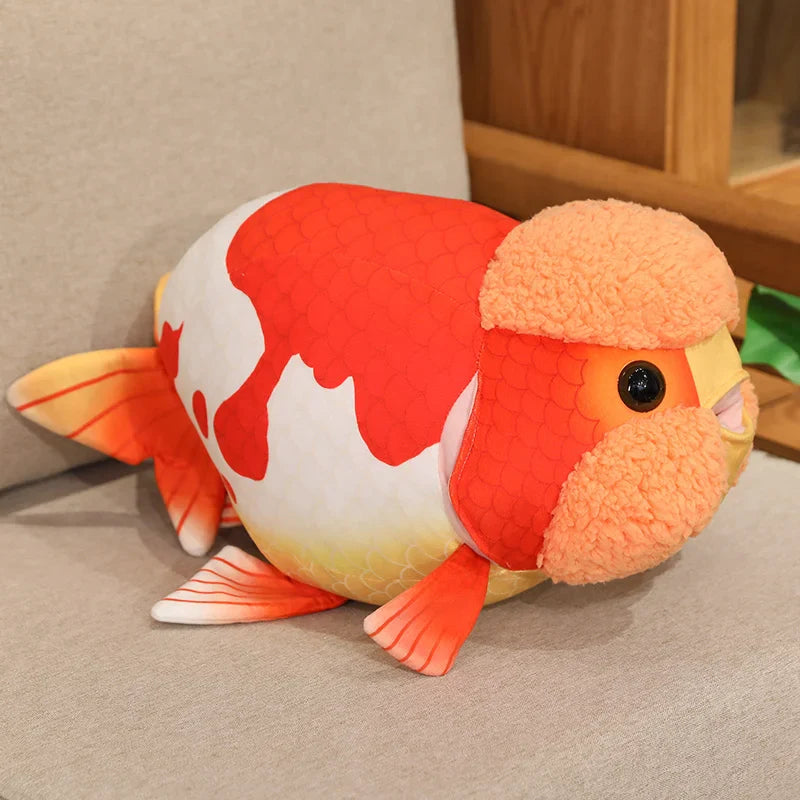 Ranchu Goldfish