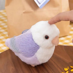 Lovebird Parrot