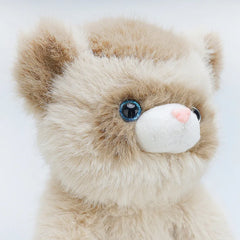 Ferret