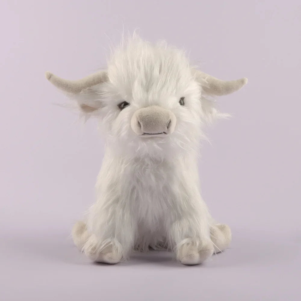Highland Cow