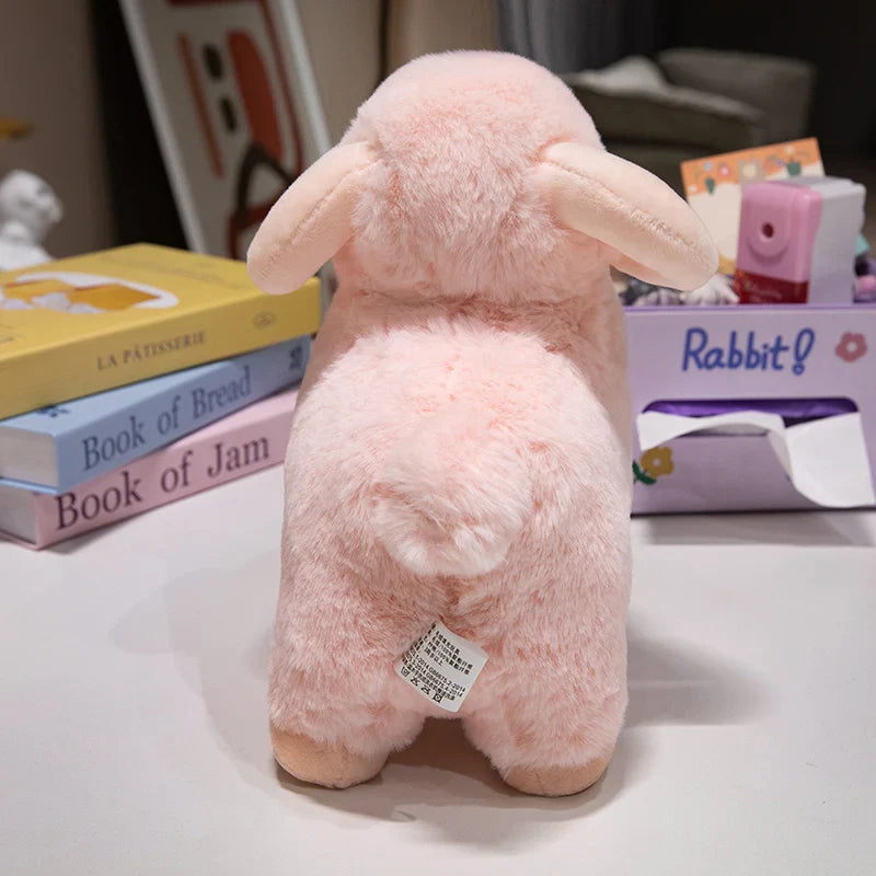 Fluffy Sheep