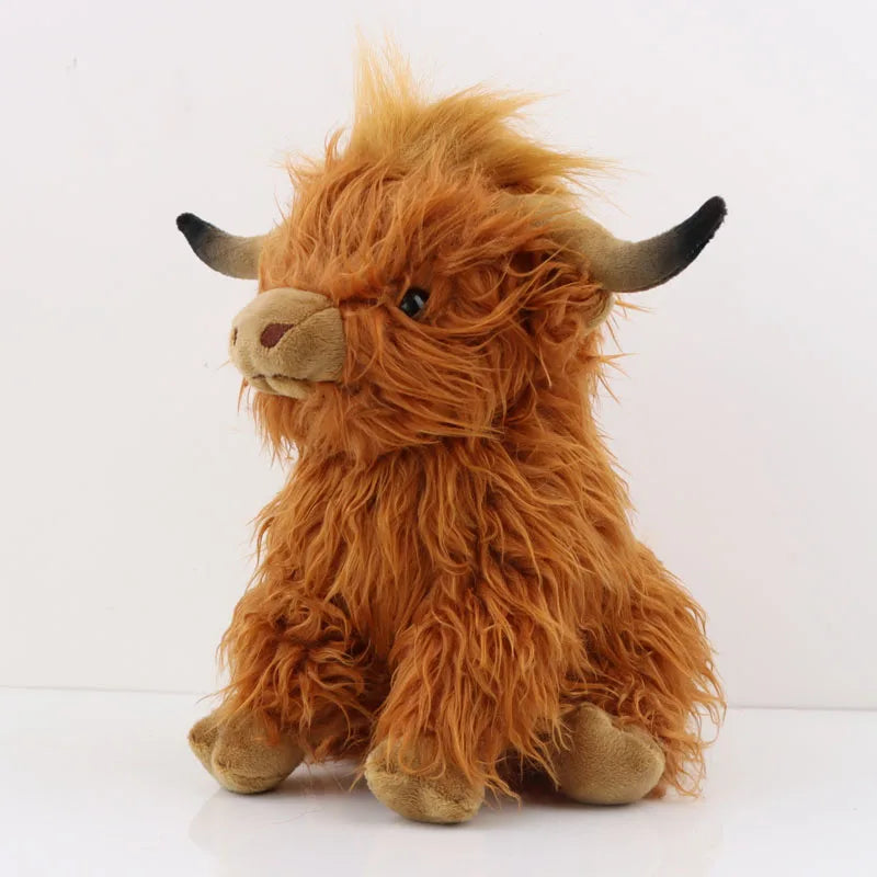 Highland Cow