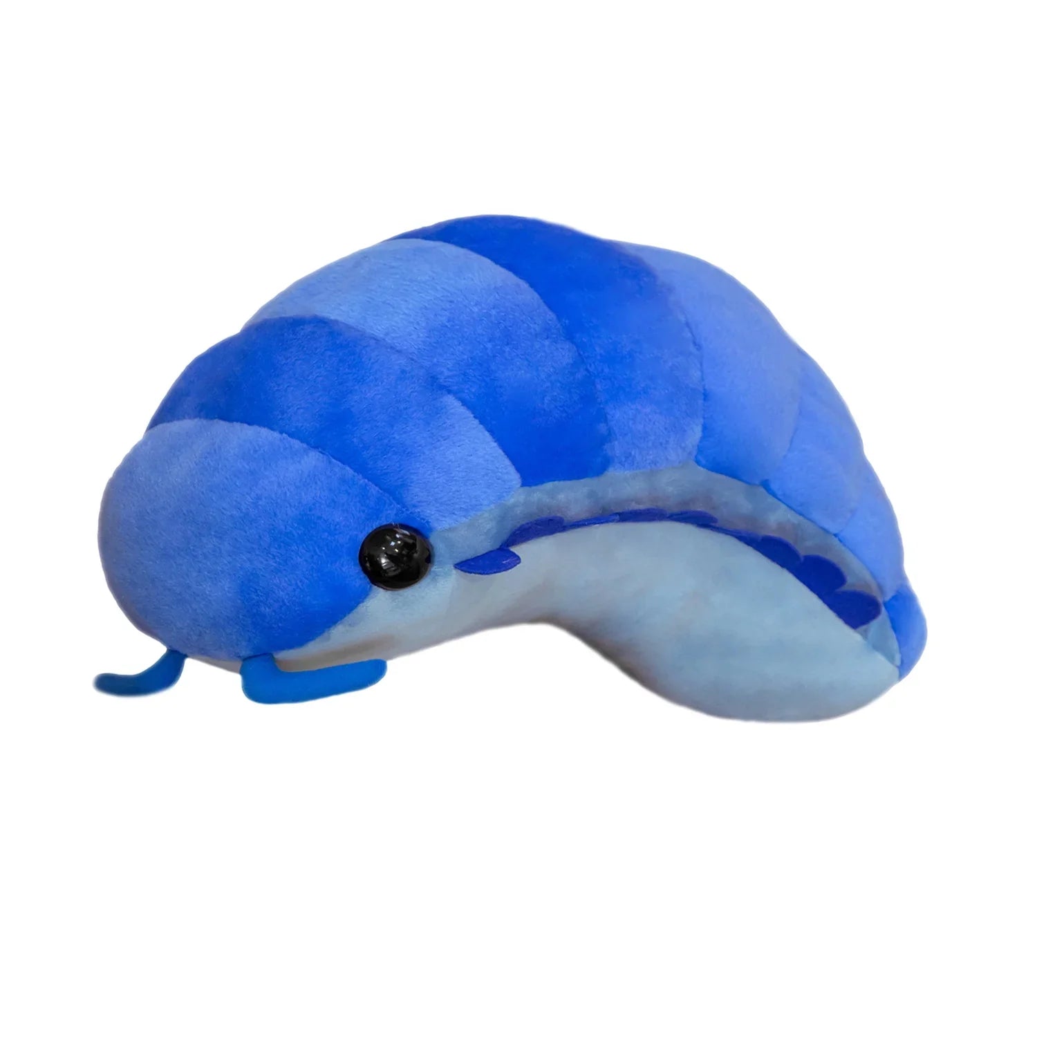 Pill Bug
