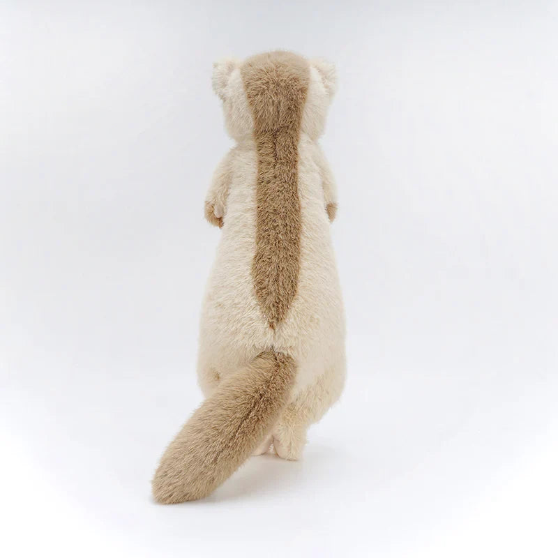 Ferret