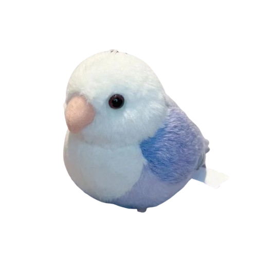 Lovebird Parrot