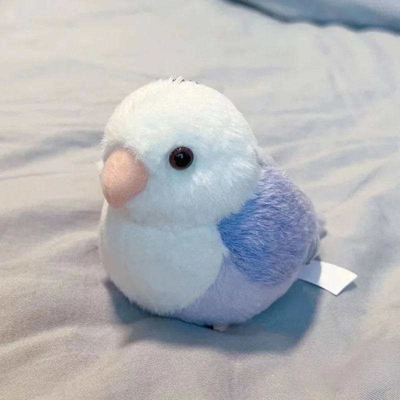 Lovebird Parrot