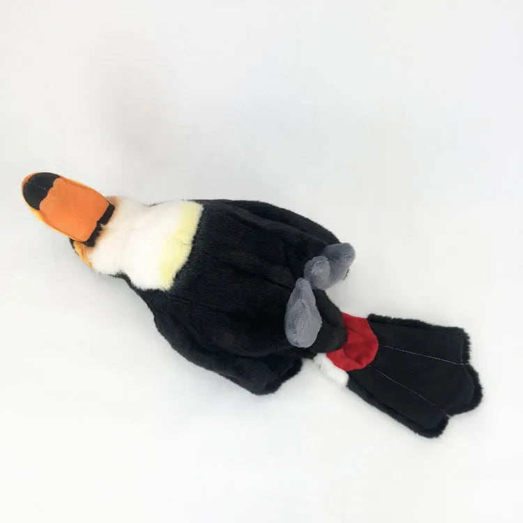 Toucan