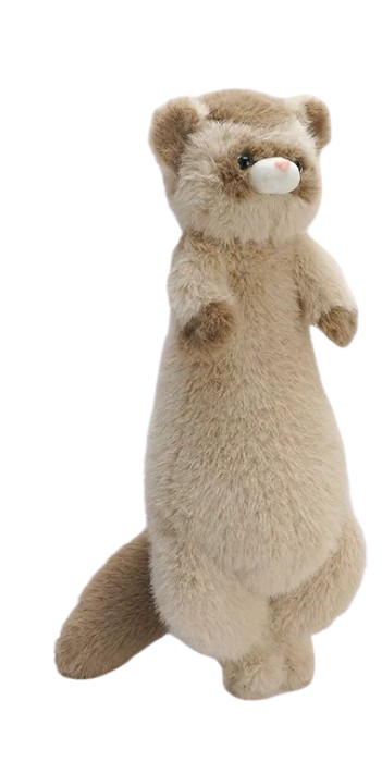 Ferret