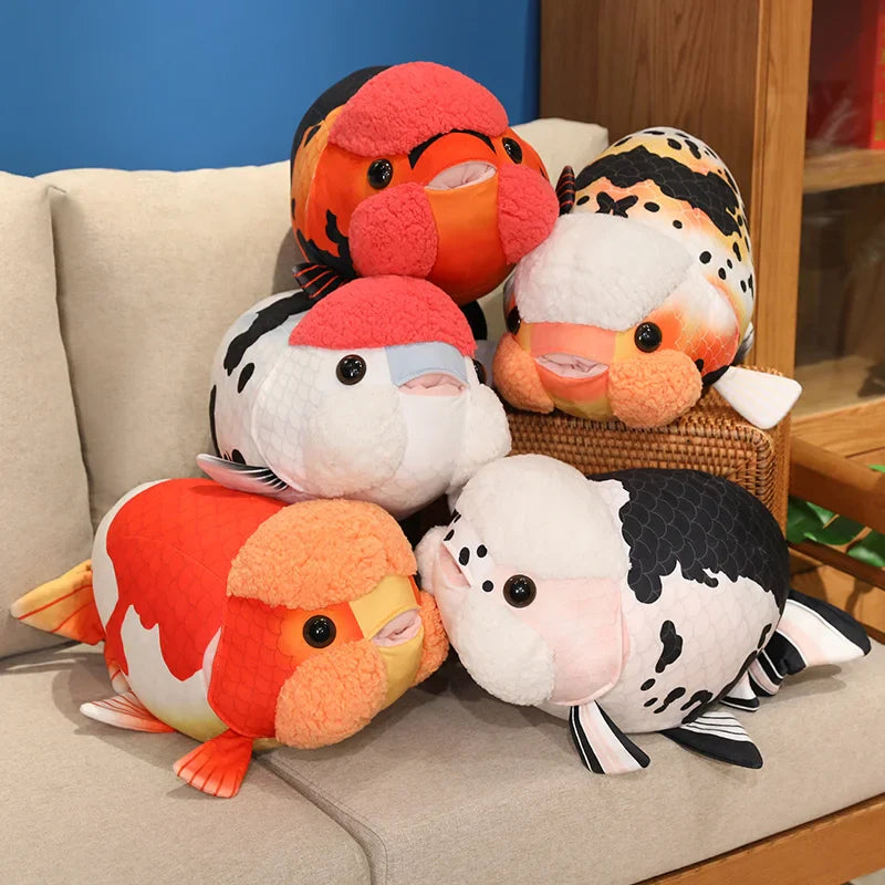Ranchu Goldfish