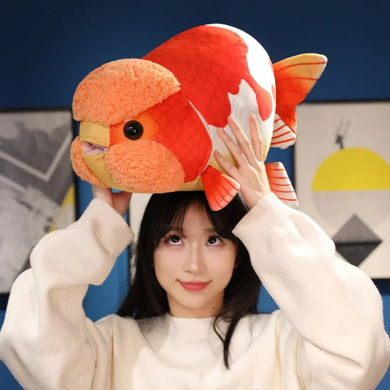 Ranchu Goldfish