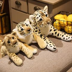 Baby Felines