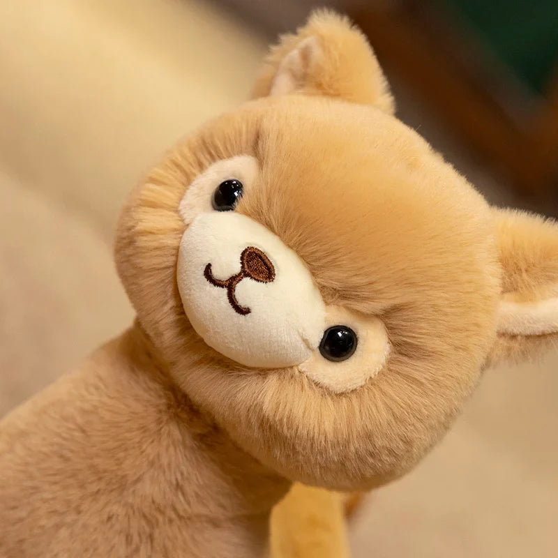 Alpaca Plushies