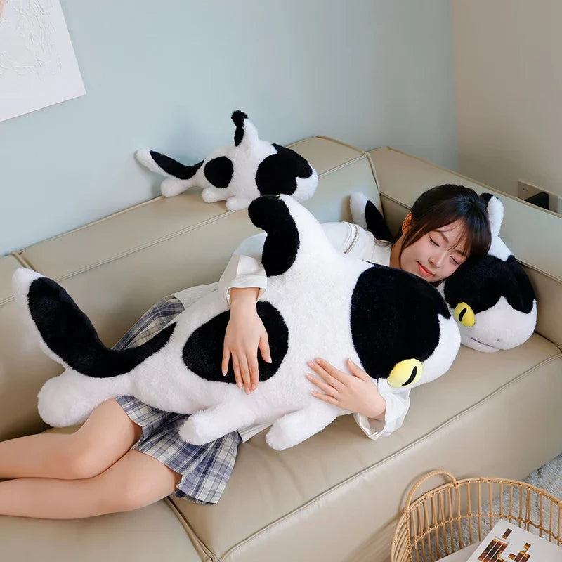 Sharkitty