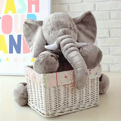 Adorable Elephant