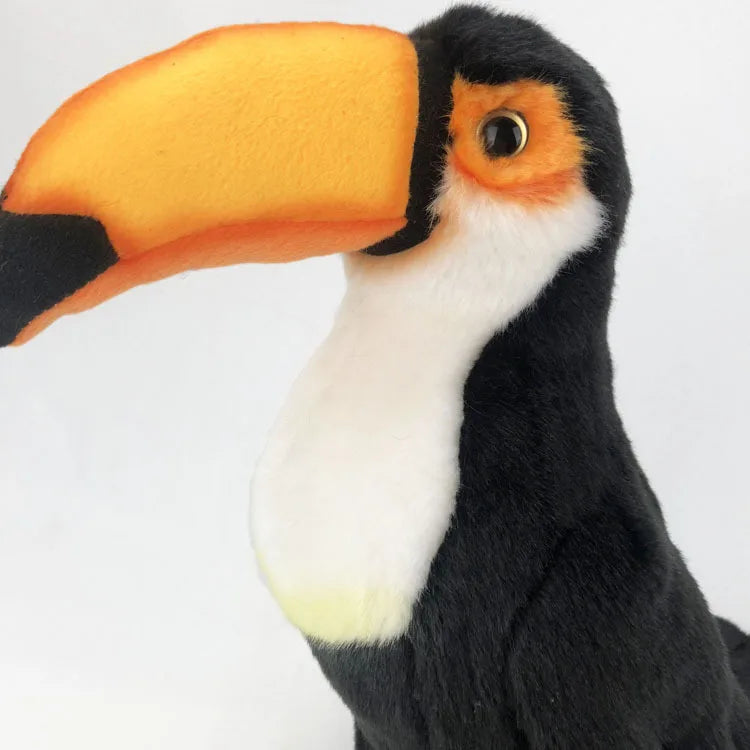 Toucan