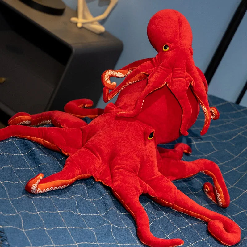 Octopus