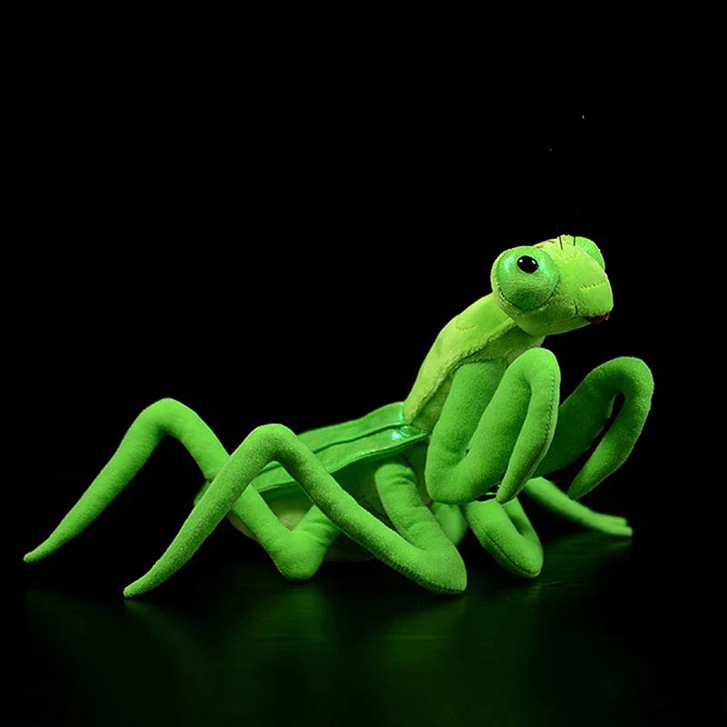 Fluffy Insects Collection
