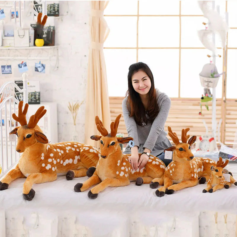 Deer