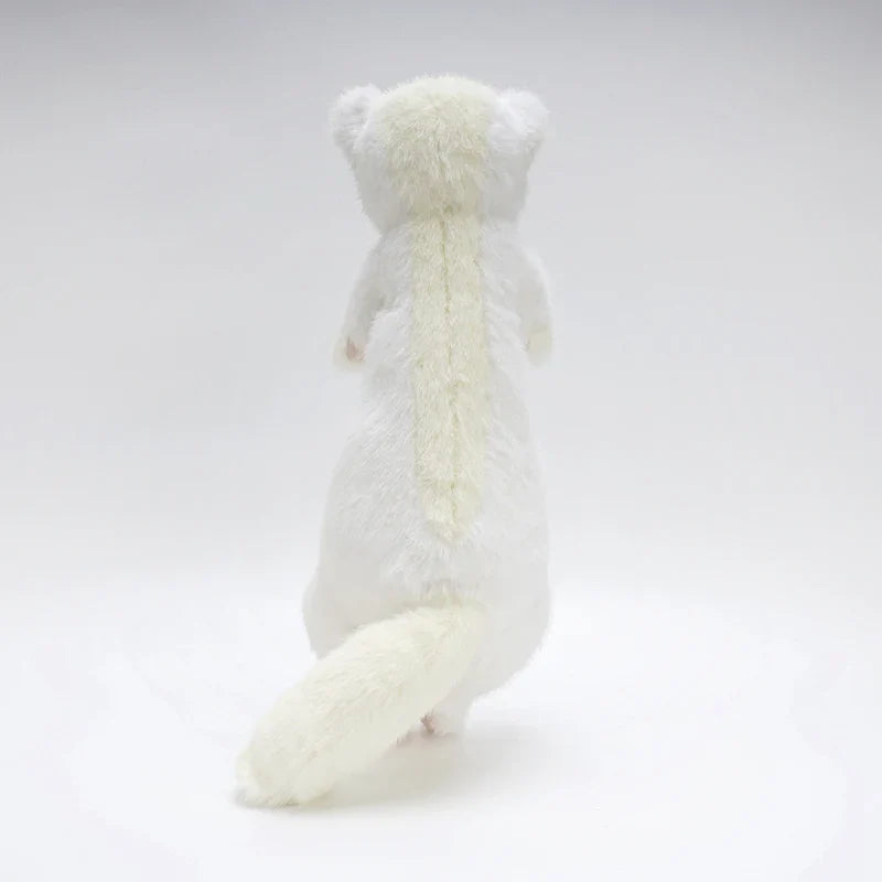 Ferret