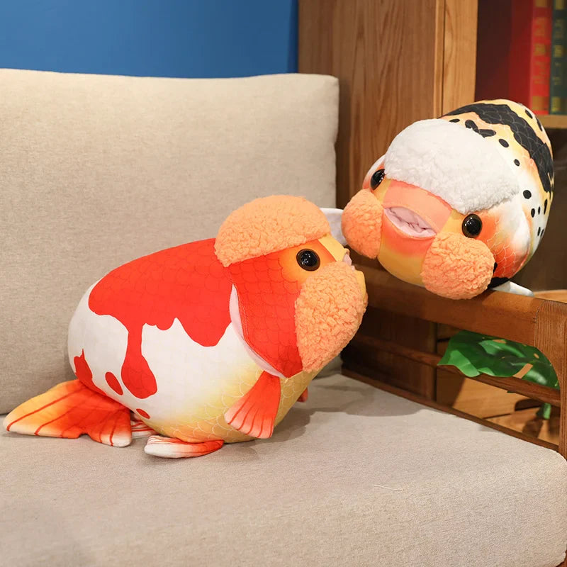 Ranchu Goldfish