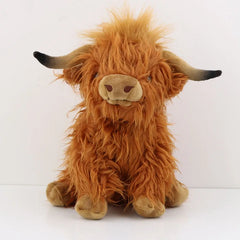 Highland Cow