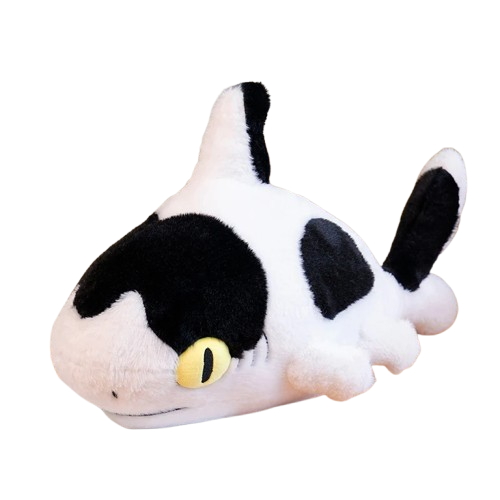 Sharkitty
