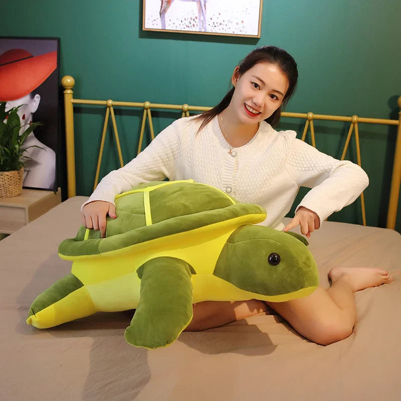 Turtle