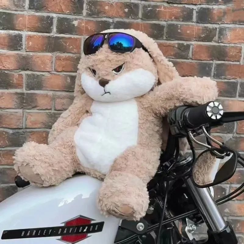 Angry Bunny