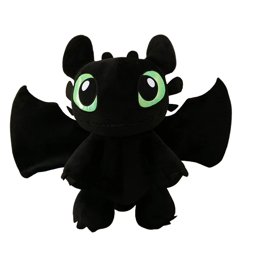 Toothless & Light Fury