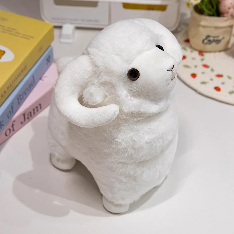Fluffy Sheep
