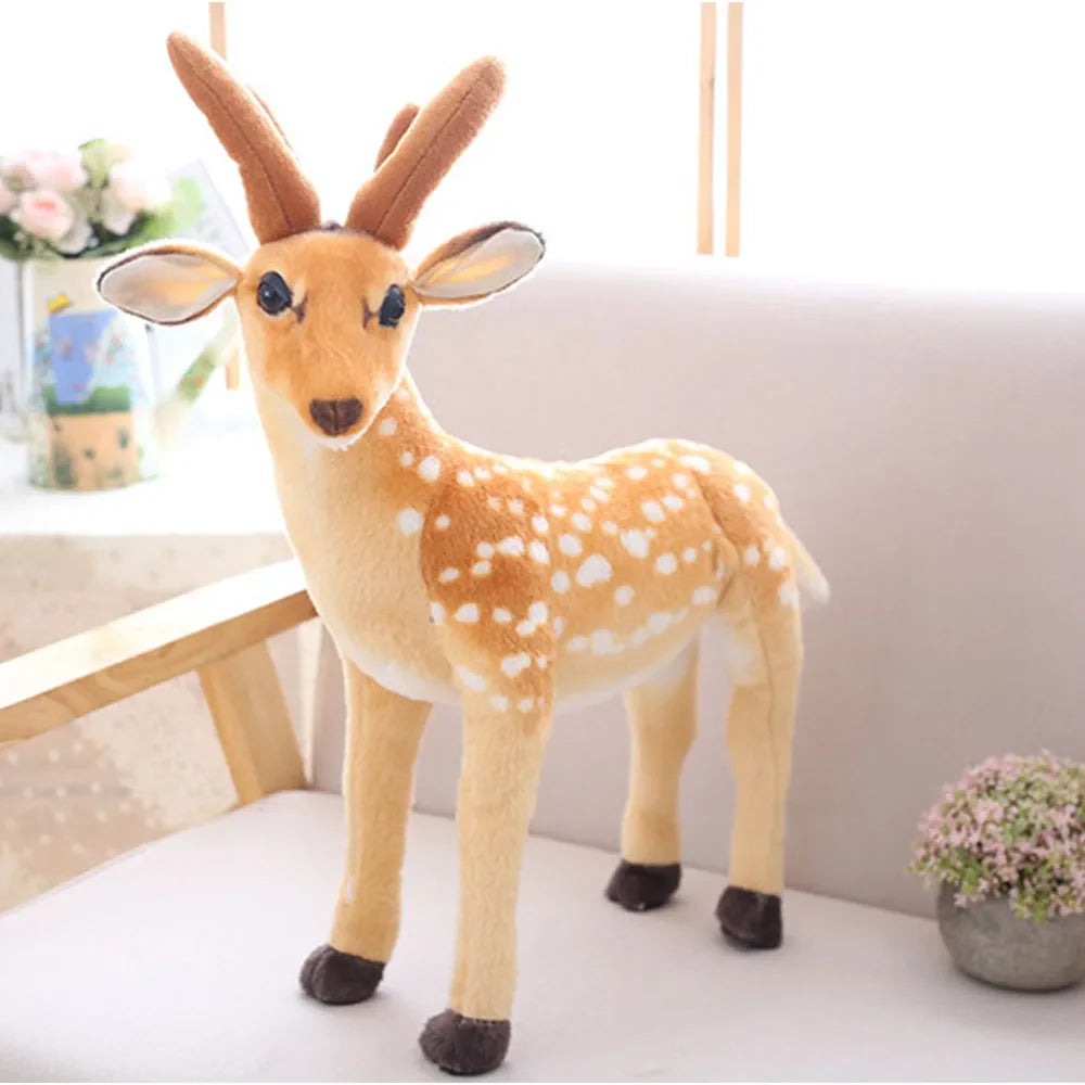 Deer