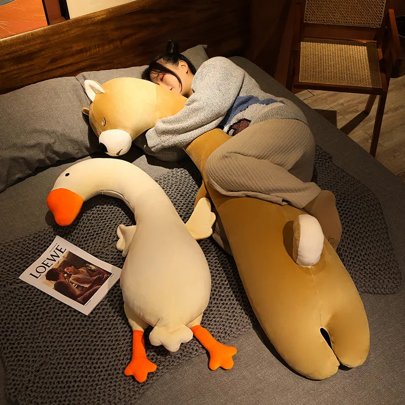 My Napping Pal