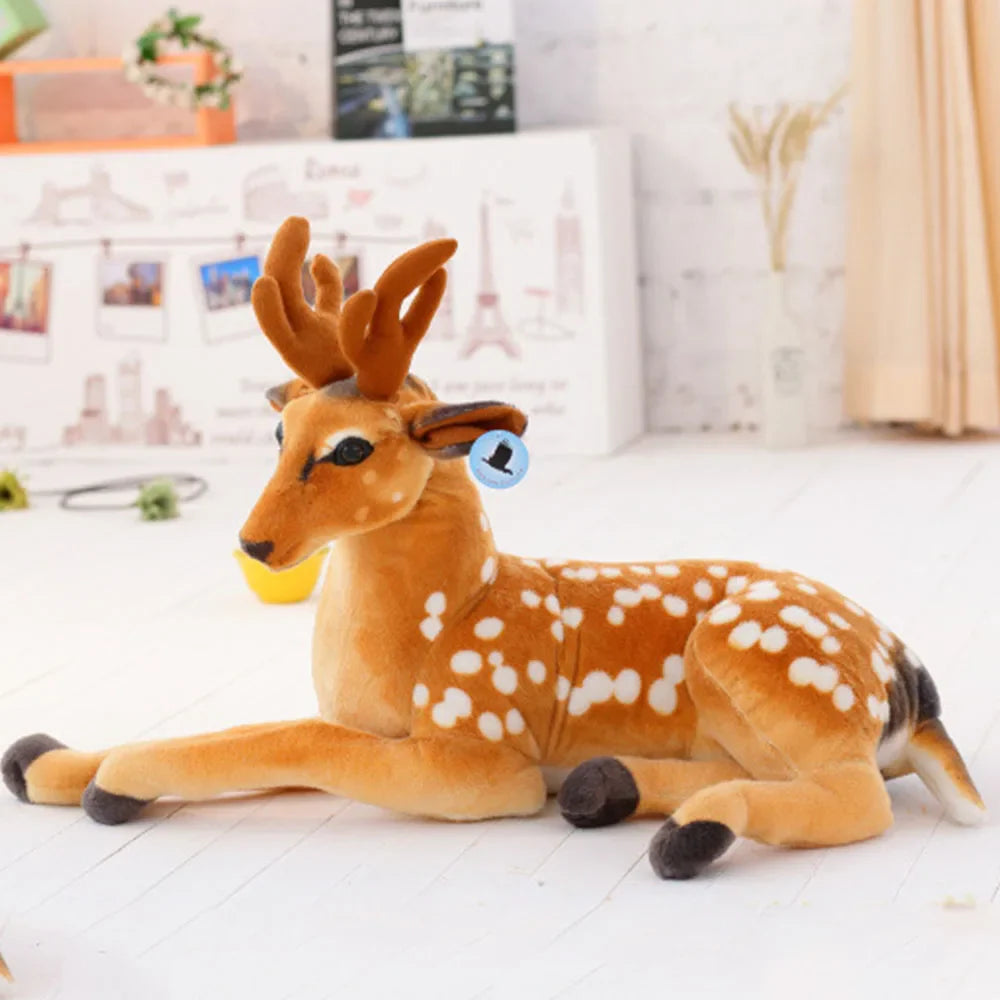Deer