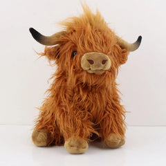 Highland Cow