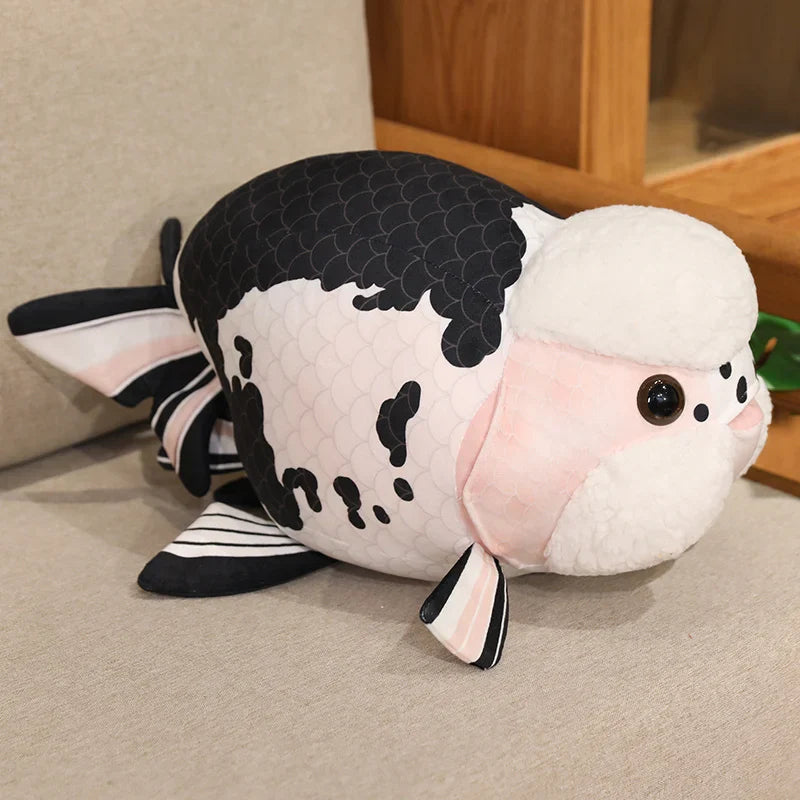 Ranchu Goldfish