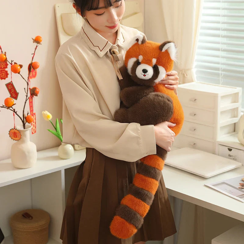 Red Raccoon