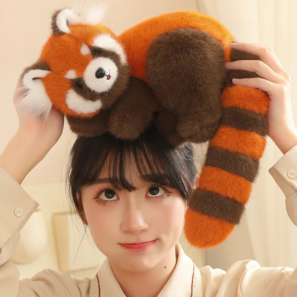 Red Raccoon