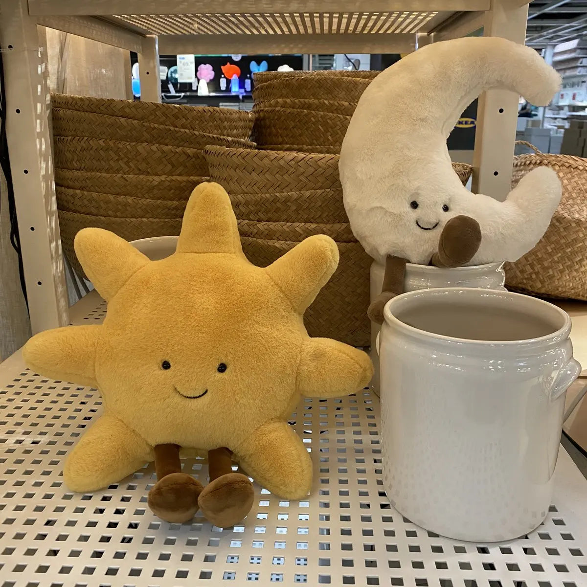 Day & Night Cozy Companions